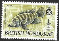 [Wildlife - Fish, տեսակ DT1]