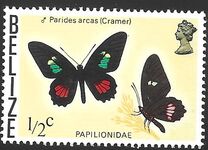 [Butterflies of Belize, type I]