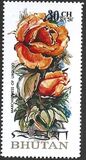 [Rose Varieties, Tipi TS]