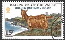 [Golden Guernsey Goats, tip GG]