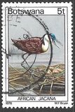 [Birds, type GT]