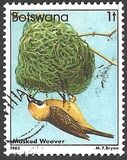 [Birds, Typ KM]