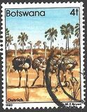 [Birds, Typ KP]