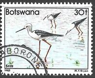 [Birds, Typ KY]