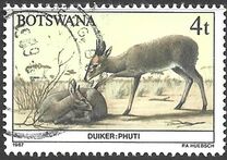 [Animals of Botswana, Typ OP]