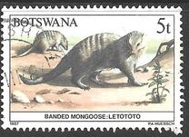 [Animals of Botswana, Typ OQ]