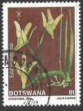 [Christmas - Orchids, type QV]