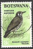 [Birds, type U]