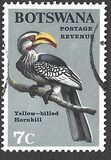 [Birds, type X]