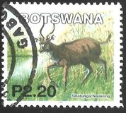 [Mammals, τύπος ACC]
