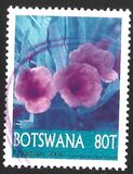 [Christmas - Flowers, type ADV]