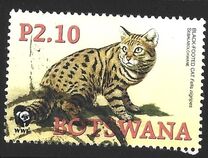 [Endangered Species - Black-footed Cat, type ARI]