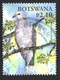 [Christmas - Doves and Pigeons, Typ AEM]