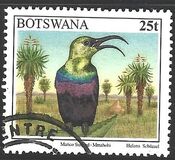 [Birds, type XI]