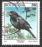 [Birds, type XL]