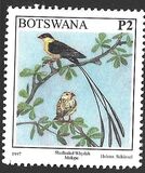 [Birds, type XS]