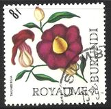 [Flowers, տեսակ EX1]