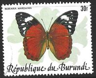 [Butterflies, 유형 AYN]