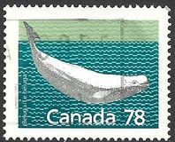 [Canadian Mammals, type AOK]