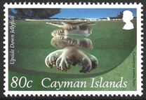 [Marine Life - Definitives, type ANG]