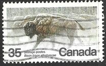 [Endangered Wildlife, type AAE]