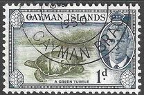[King George VI & Local Motives, प्रकार AY]