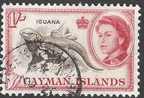 [Queen Elizabeth II & Local Motives, Scrivi CJ]