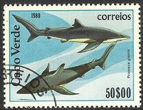 [Marine Life, tip FN]
