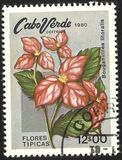 [Flowers, 類型 FS]