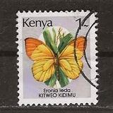 [Butterflies, type PD]