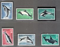 [Dolphins and Porpoises, Вид HP]