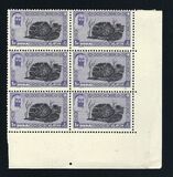 [Definitive Issues, type E]