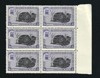 [Definitive Issues, type E]