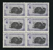 [Definitive Issues, type E]