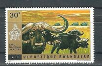 [Akagera National Park, тип MD]