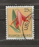 [Indigenous Flora, type AZ]