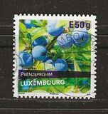 [Flora - Plum Varieties in Luxembourg, type BXU]