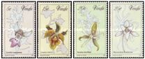 [Orchids, type AT]