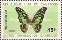 [Butterflies, Вид OG]