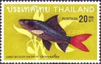 [Thai Fish, type KX]