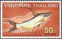 [Thai Fish, type KZ]