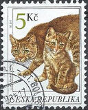 [Cats, Typ GT]