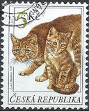 [Cats, Typ GT]