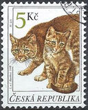[Cats, Typ GT]