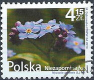 [Flowers and Fruits - Myosotis, type GFD]