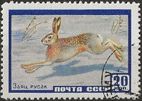 [Fauna of USSR, tip BWD]