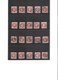 [Queen Isabella - Colored Paper, type P]