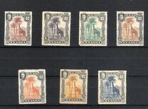 [Giraffe, type C]