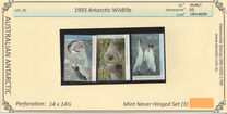 [Antarctic Wildlife, type CQ]