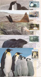 [Antarctic Wildlife, tip CL]